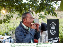 Festival Mar de Tethys 2026 - Bodega Vetas